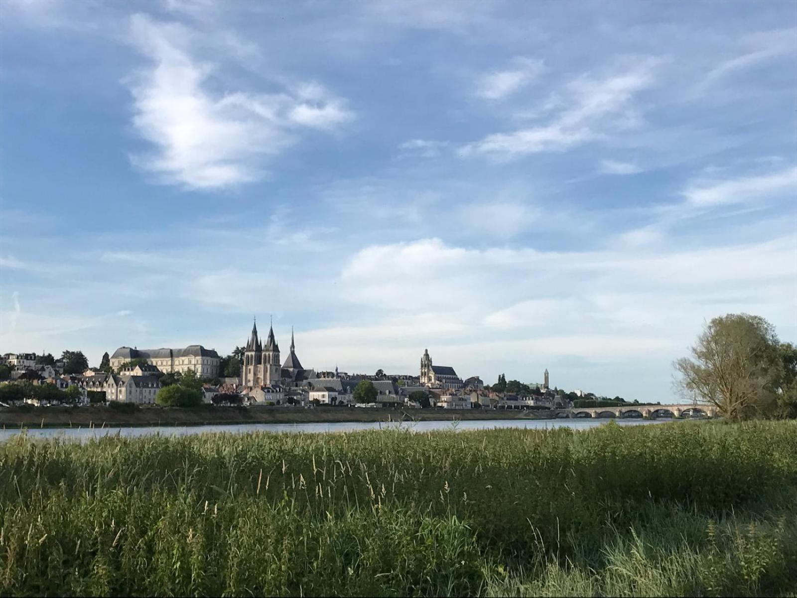 布鲁瓦Quai De La Loire公寓 外观 照片