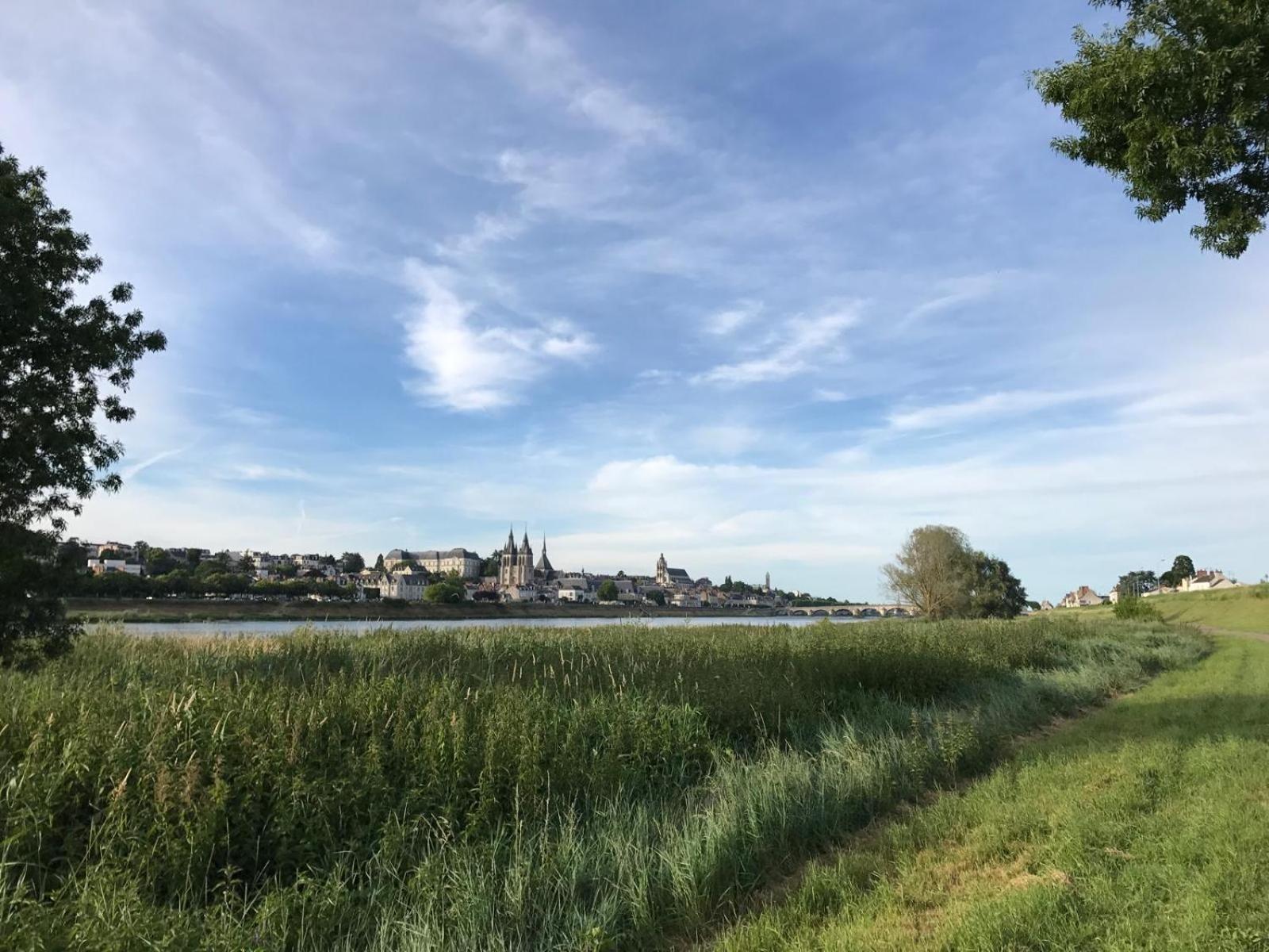 布鲁瓦Quai De La Loire公寓 外观 照片