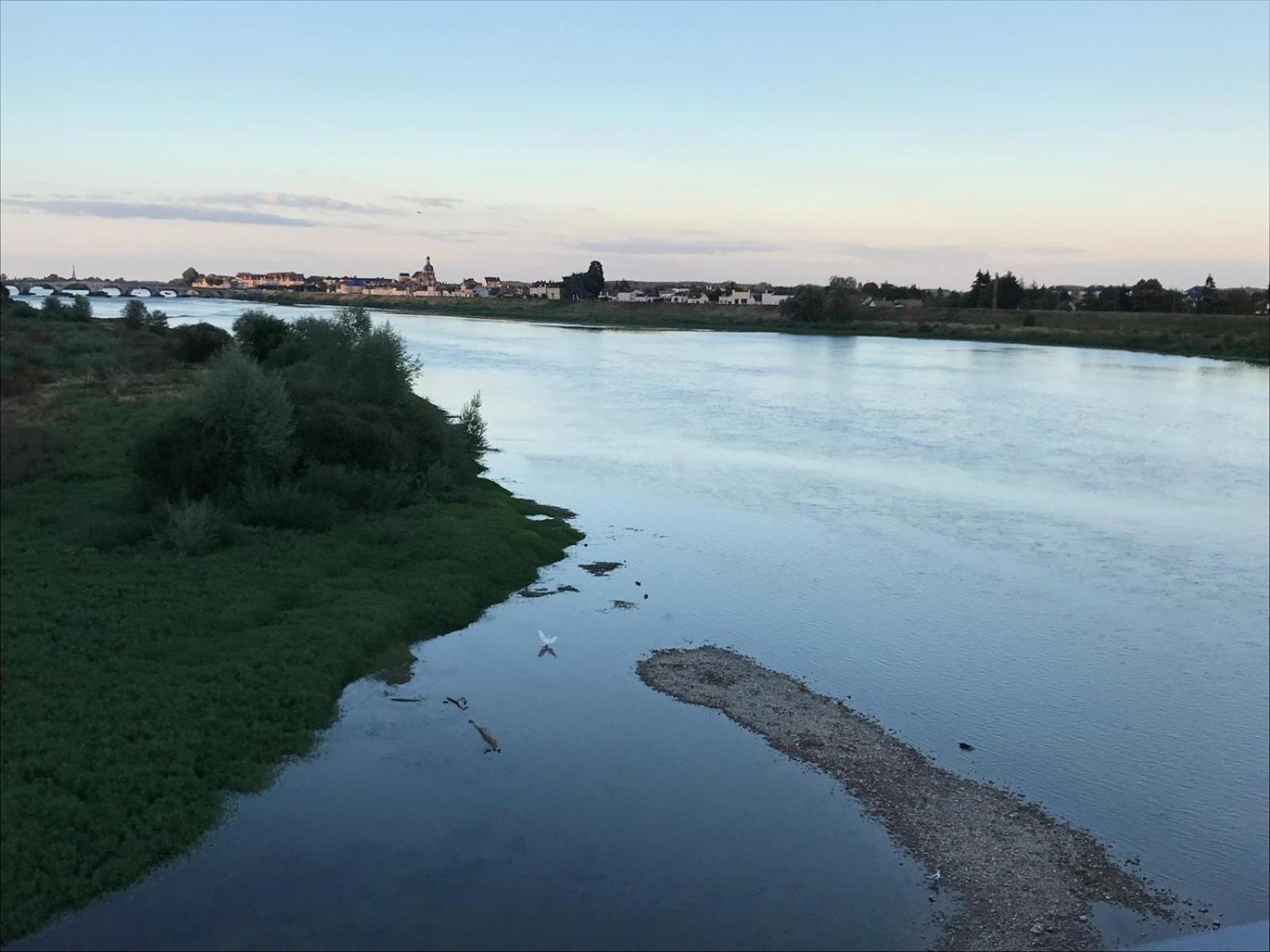 布鲁瓦Quai De La Loire公寓 外观 照片