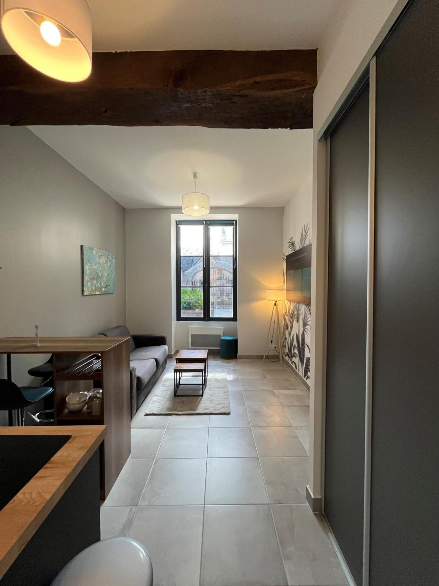 布鲁瓦Quai De La Loire公寓 外观 照片