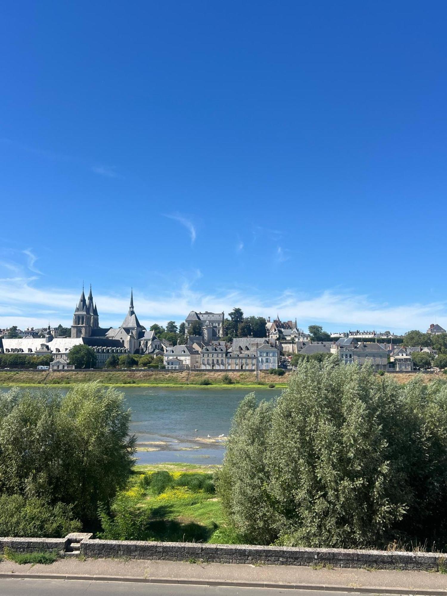 布鲁瓦Quai De La Loire公寓 外观 照片